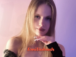 Emiliabush