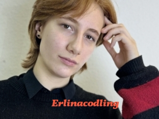 Erlinacodling