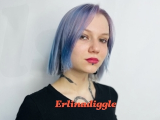 Erlinadiggle