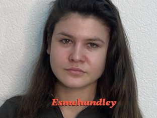 Esmehandley