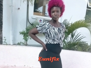 Eunifix