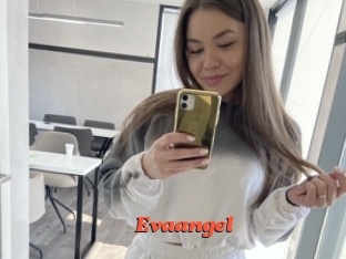 Evaangel