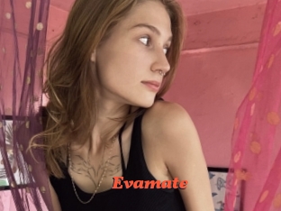 Evamate