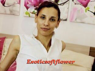 Exoticsoftflower