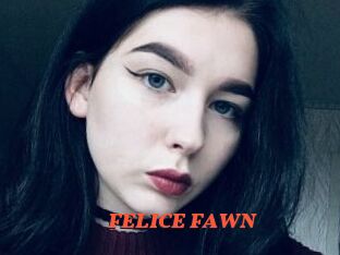 FELICE_FAWN
