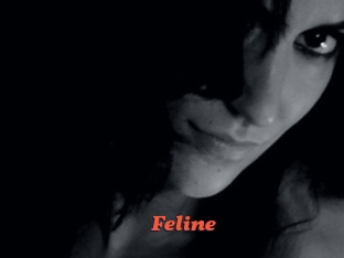 Feline