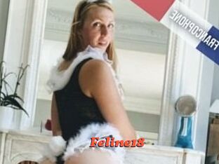 Feline18