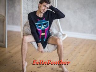 FelixFeather