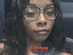 Firebug
