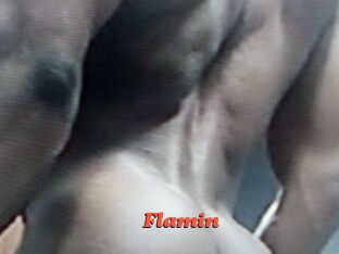 Flamin