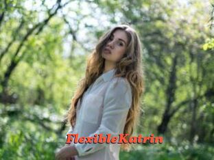 FlexibleKatrin