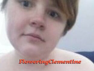 FloweringClementine