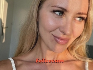 Felicecam