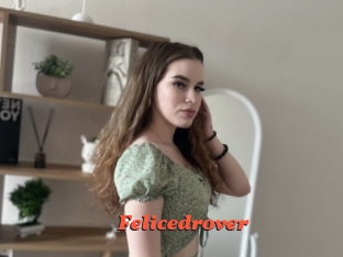 Felicedrover