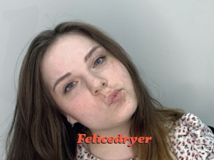 Felicedryer