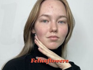 Feliceflowers