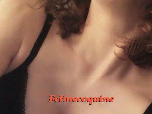 Felinecoquine