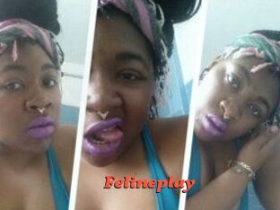 Felineplay