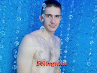 Felixgunn