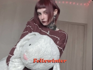 Felixwinter