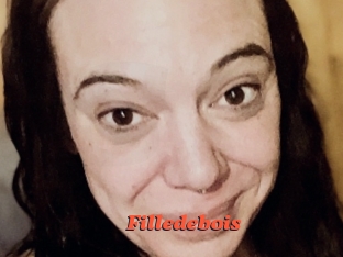 Filledebois