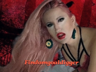 Findomgoaldigger