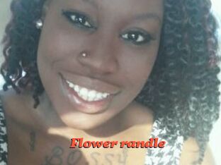 Flower_randle
