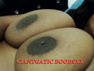 GIANTGATIC_BOOBSXX Livespot