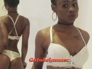 Gatubela_masc