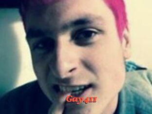 Gay411