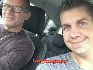 Gayfunguys