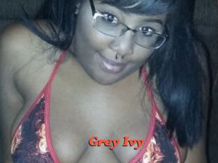 Grey_Ivy