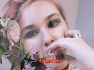 Grothia