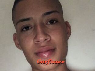 Garfiosex
