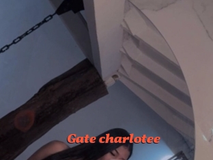 Gate_charlotee