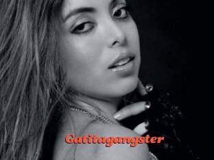 Gatitagangster