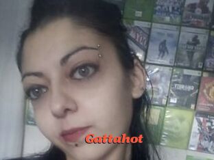 Gattahot