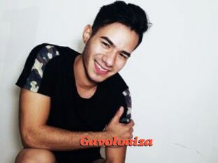Gavoloaiza