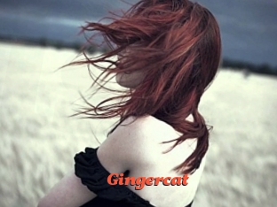 Gingercat