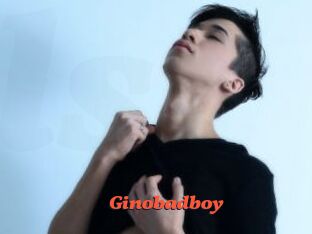 Ginobadboy