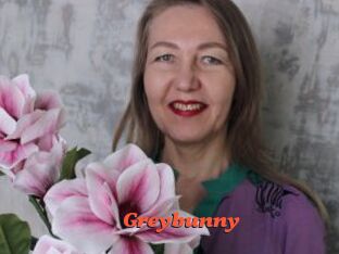 Greybunny