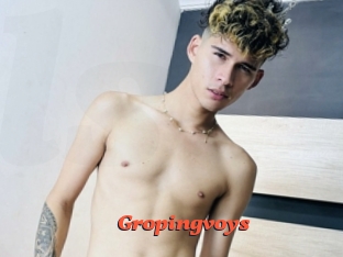 Gropingvoys