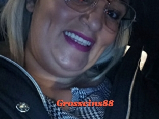 Grosseins88