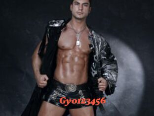 Gyo123456