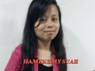 HAMEKEMY_SUAR Livespot