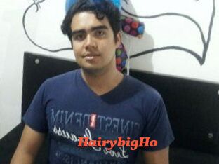 HairybigHo