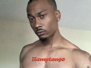 Hampton90 Livespot
