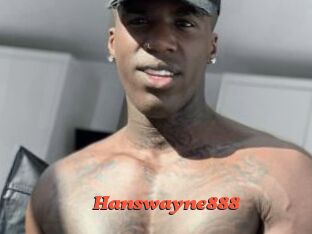 Hanswayne888