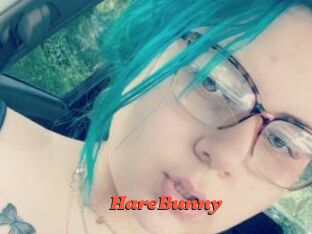 HareBunny