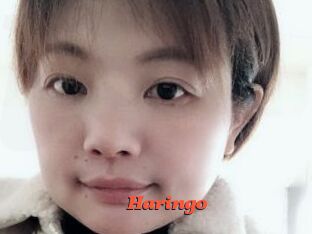 Haringo